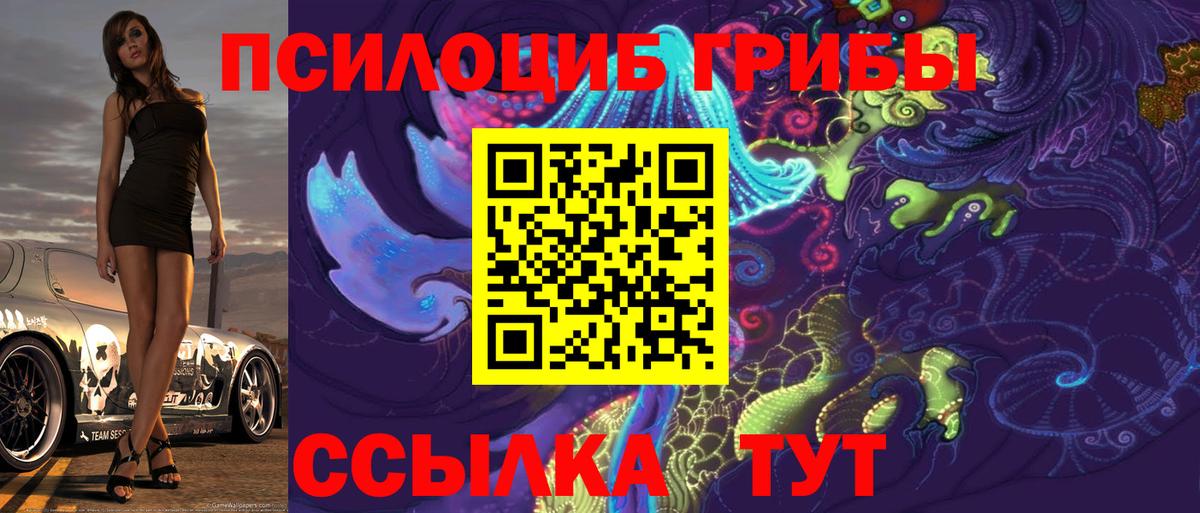 Майкоп  Псилоцибиновые грибы прущие грибы  Вход с VPN 